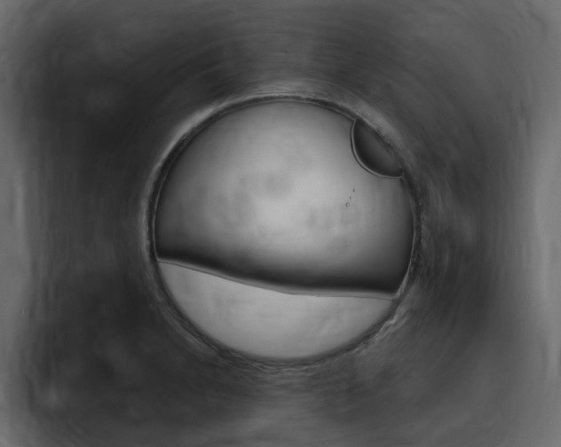 X0000095551230200712140929
