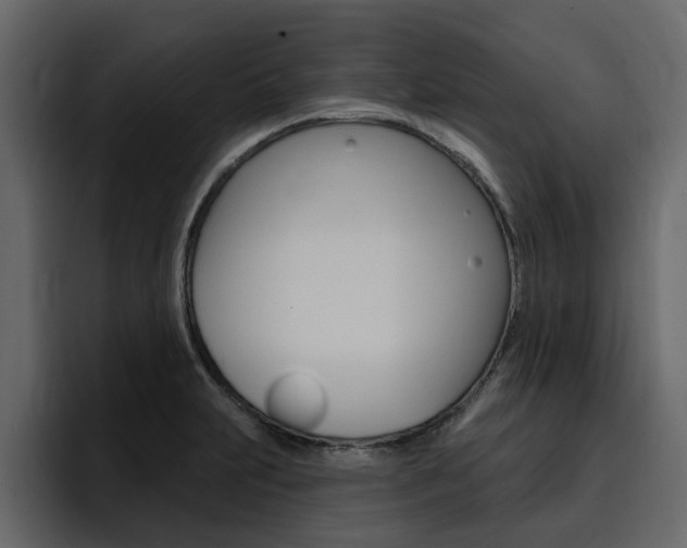 X0000095551231200712140929