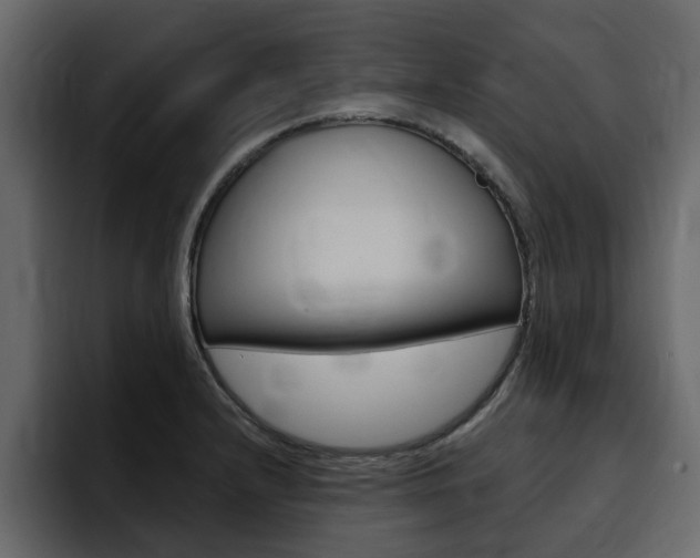 X0000095551232200712140929