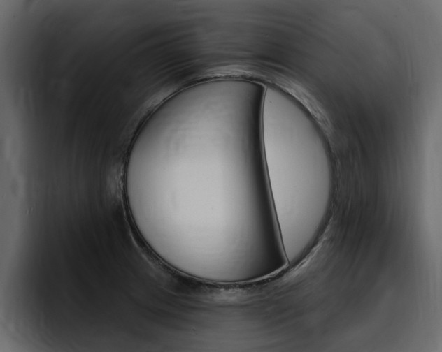X0000095551233200712140929