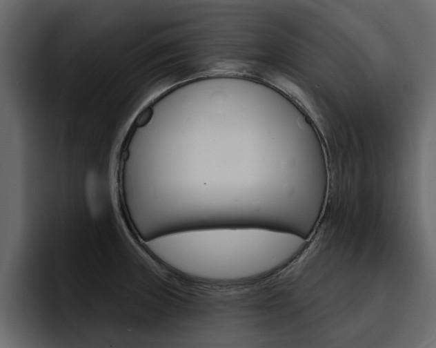 X0000095551235200712140929