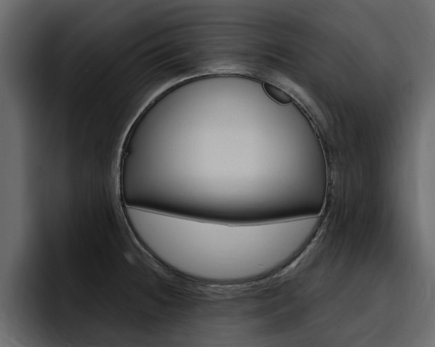 X0000095551236200712140929