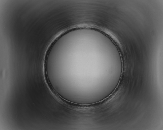 X0000095551237200712140929