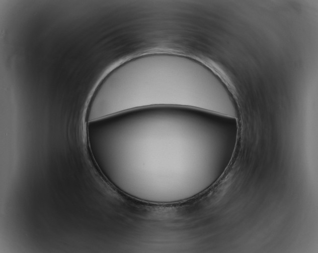 X0000095551238200712140929