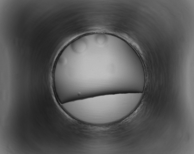 X0000095551239200712140929