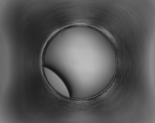 X0000095551240200712140929