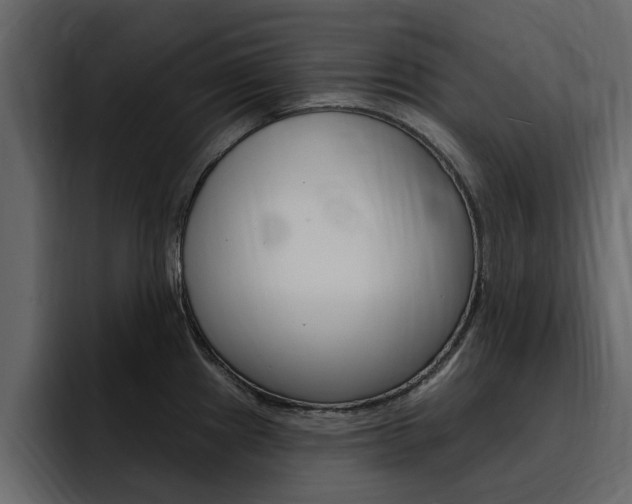 X0000095551241200712140929
