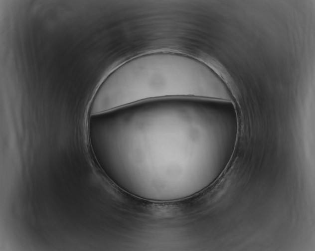 X0000095551242200712140929