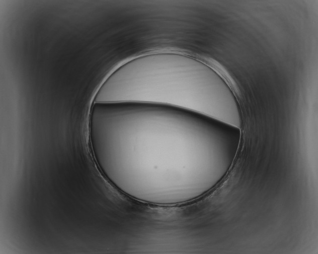 X0000095551244200712140929