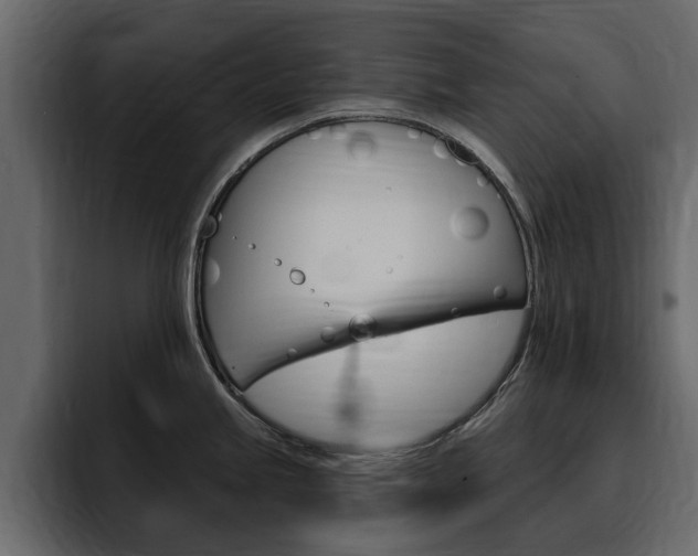 X0000095551245200712140929