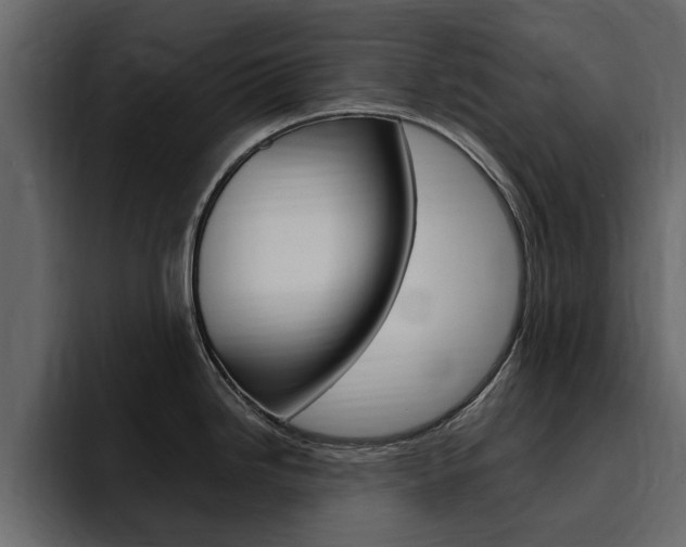 X0000095551246200712140929