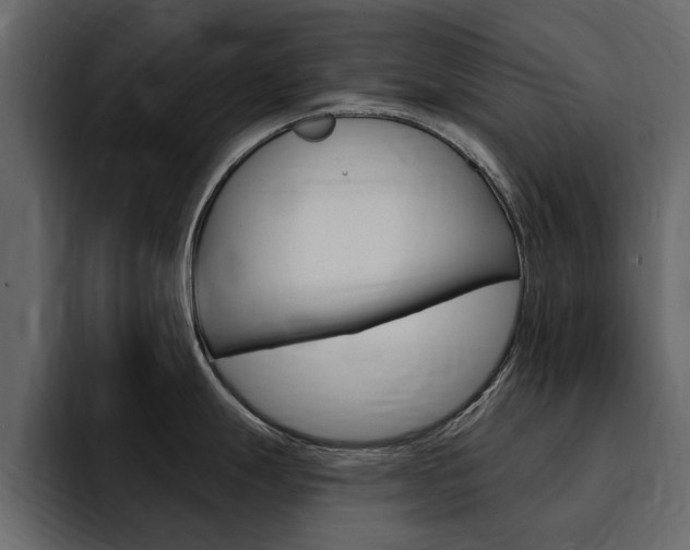 X0000095551247200712140929