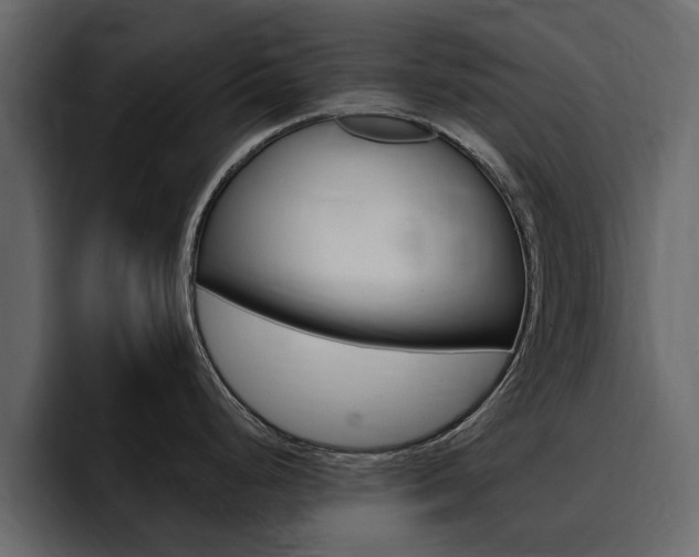 X0000095551248200712140929
