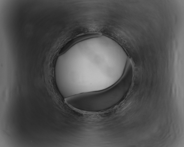 X0000095551249200712140928