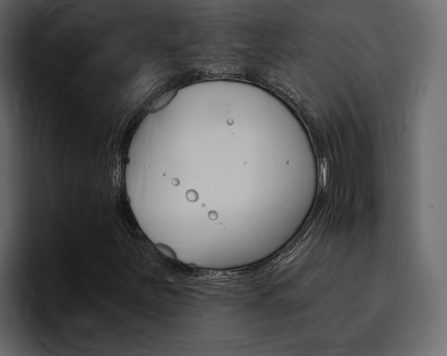 X0000095551251200712140928