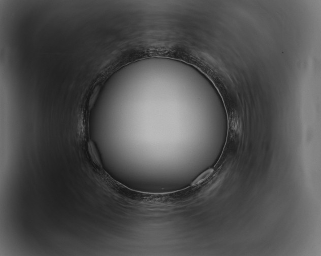 X0000095551252200712140928