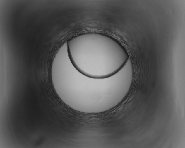 X0000095551253200712140928