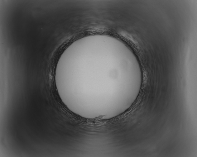 X0000095551254200712140928