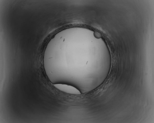 X0000095551255200712140928