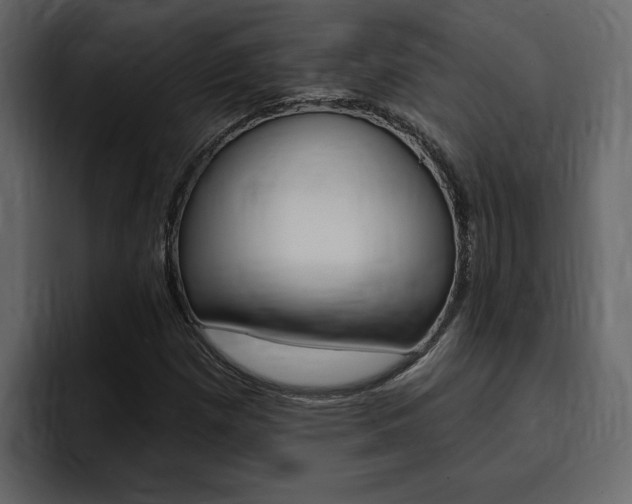 X0000095551257200712140928