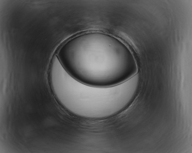 X0000095551260200712140928
