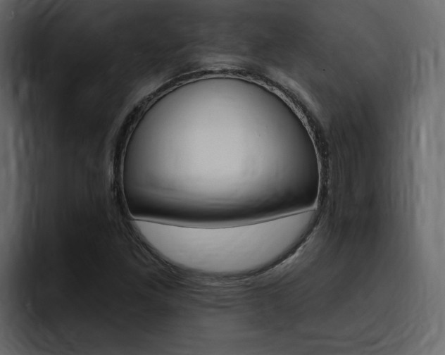 X0000095551261200712140928