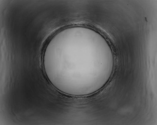 X0000095551262200712140928