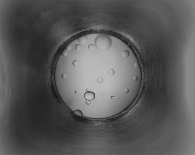 X0000095551263200712140928