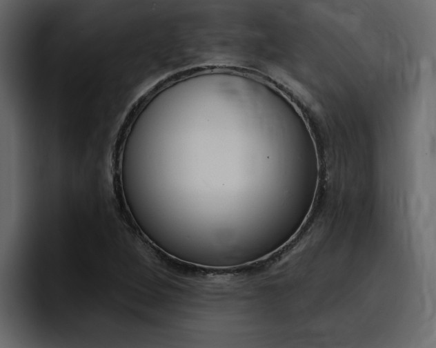 X0000095551264200712140928