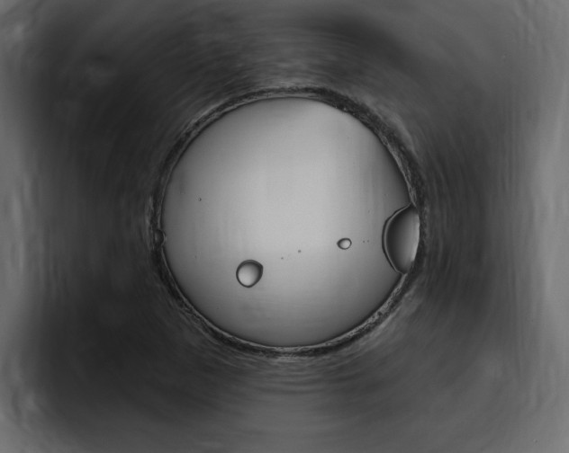 X0000095551265200712140928
