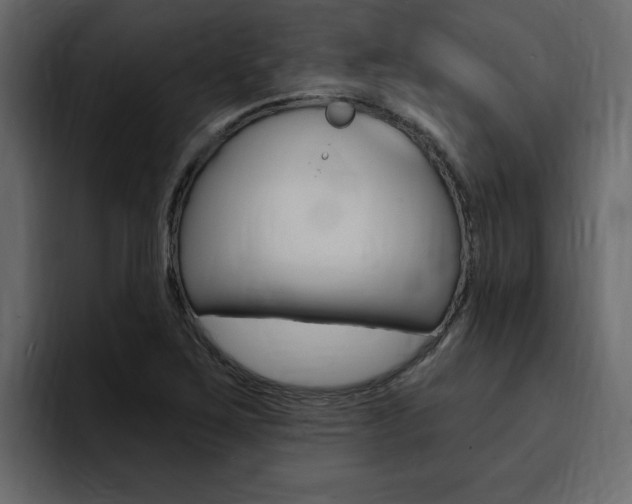 X0000095551267200712140928