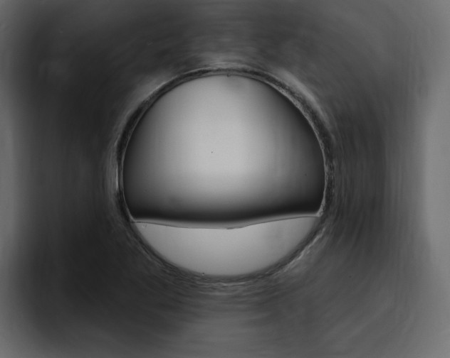 X0000095551269200712140928