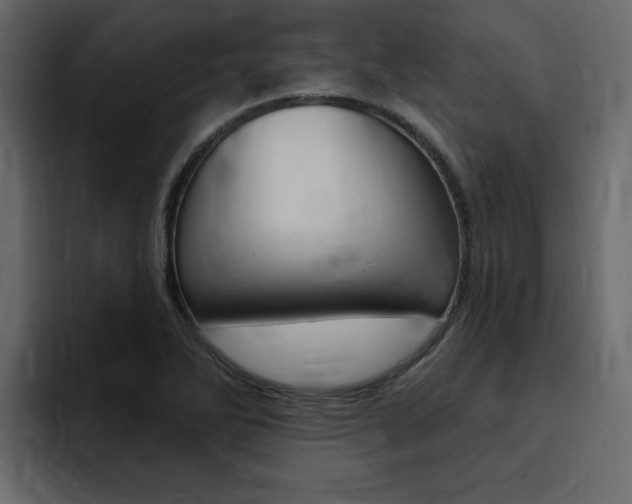 X0000095551270200712140928