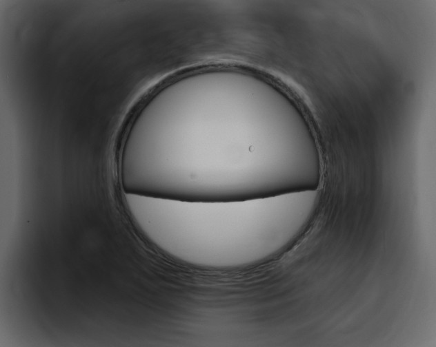 X0000095551271200712140928