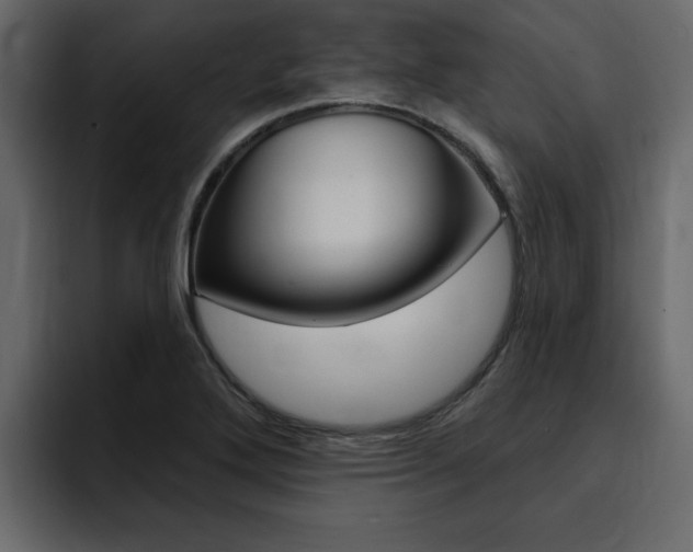 X0000095551272200712140928