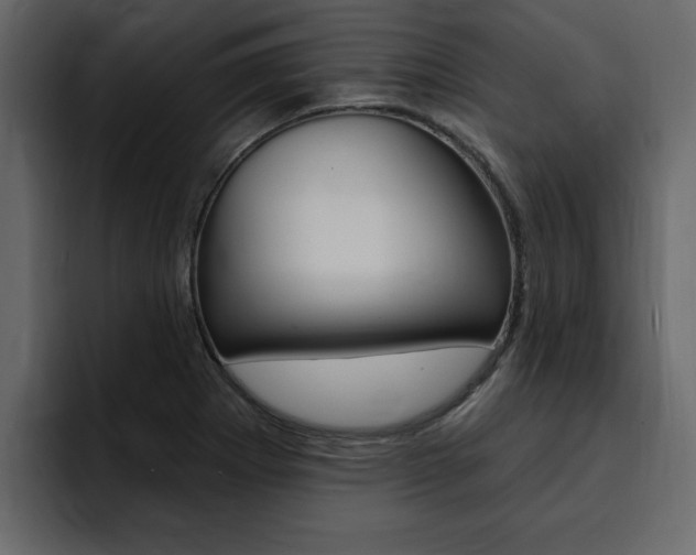 X0000095551273200712140928