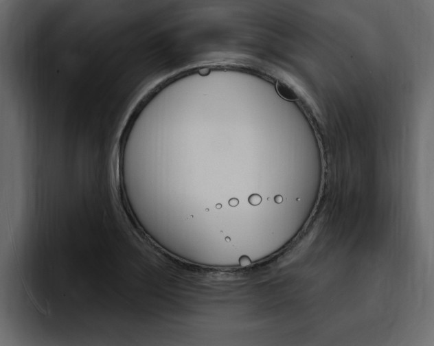 X0000095551275200712140928