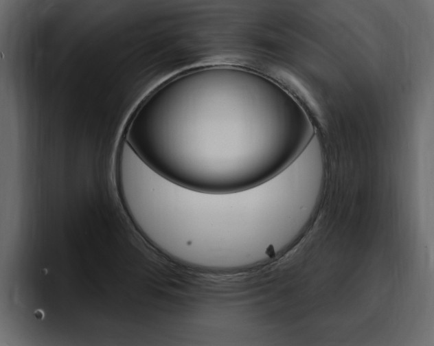 X0000095551276200712140928