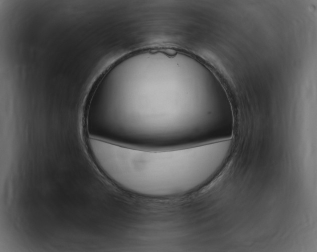 X0000095551277200712140928