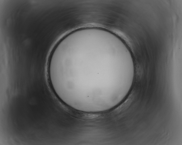X0000095551278200712140928