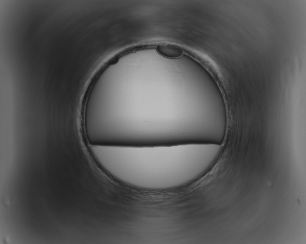 X0000095551279200712140928