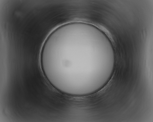 X0000095551280200712140928