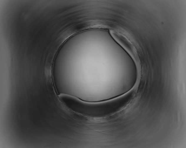 X0000095551281200712140928