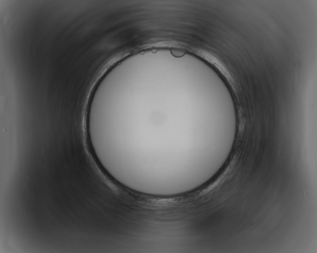 X0000095551282200712140928