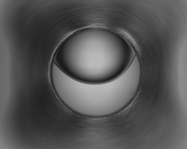 X0000095551284200712140928