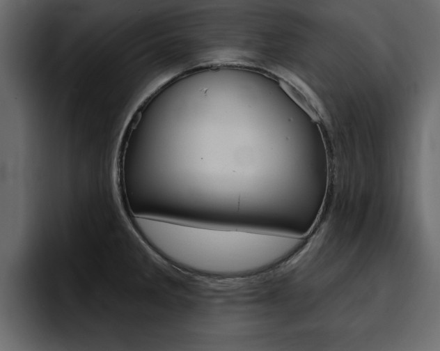 X0000095551285200712140928