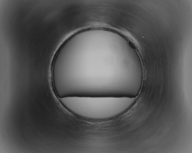 X0000095551287200712140928