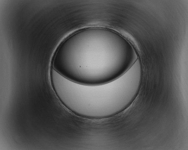 X0000095551288200712140928
