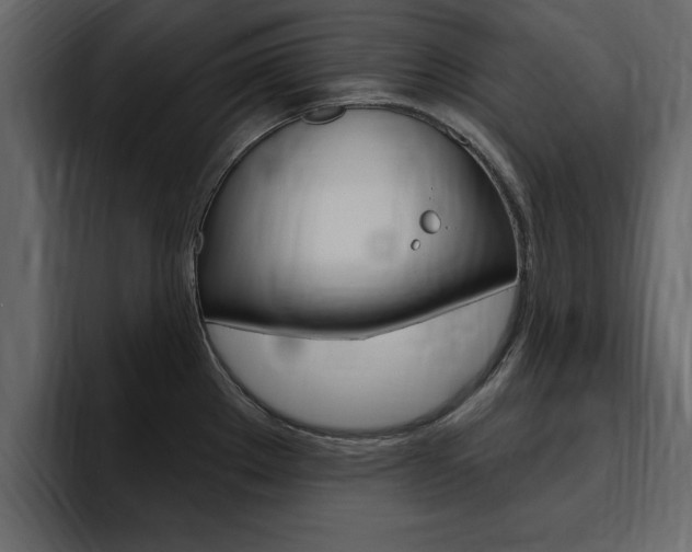 X0000095551289200712140928