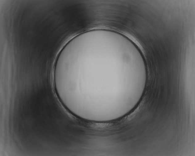 X0000095551290200712140928